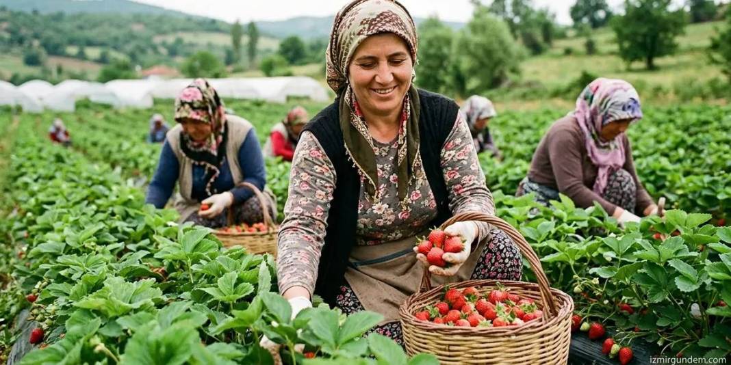 Sıcaklıklar arttı hasat başladı: Kadınların emeğiyle bölge ekonomisine katkıda bulunuyor 1